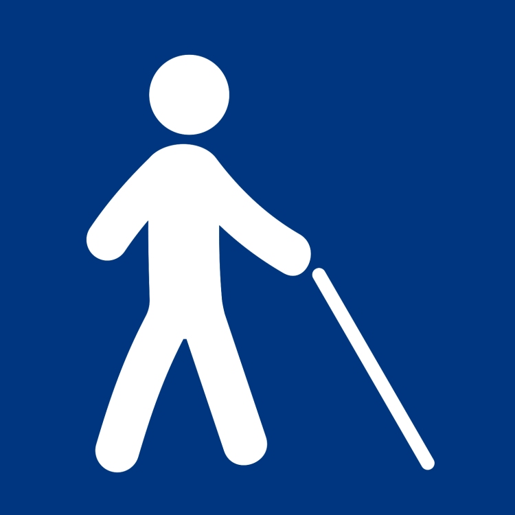 Pictograma de accesibilidad visual. Es una figura humana que usa un bastón blanco. / Ikusizko irisgarritasunaren piktograma.